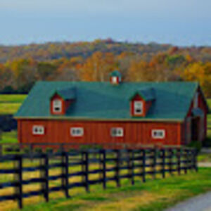 Meet your Posher, Sandy